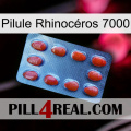 Pilule Rhinocéros 7000 06